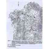 Click para ampliar. Pulsa en el nombre para ver la ficha. per loca maritima